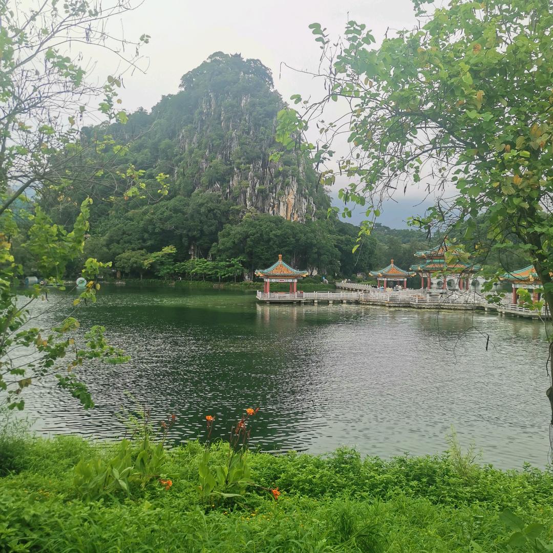 饶伟