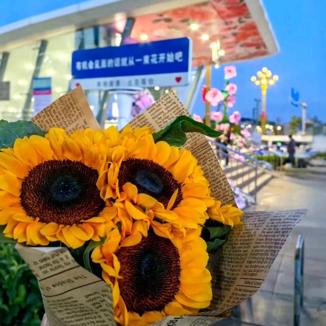 樱花🌸