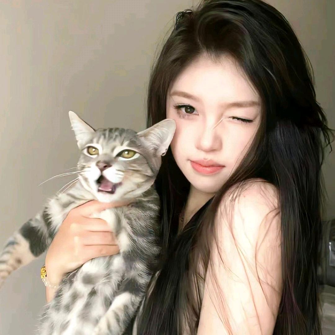 恭喜💰