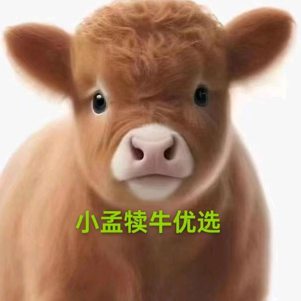 犊牛幼儿园