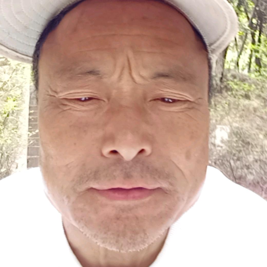 枫叶情