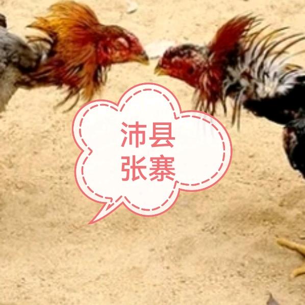 江淮斗鸡好物