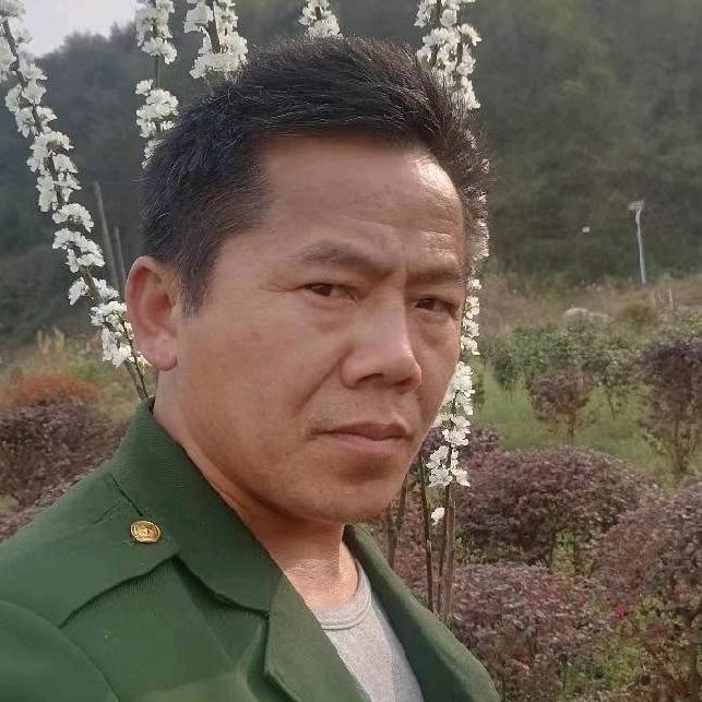大画师园林绿化