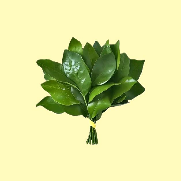 喝不完的七喜，再见吧