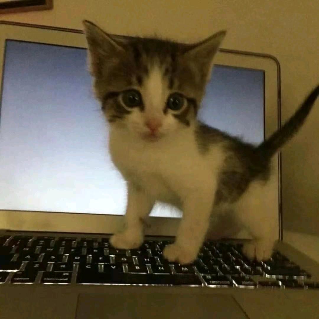 有点小甜quq