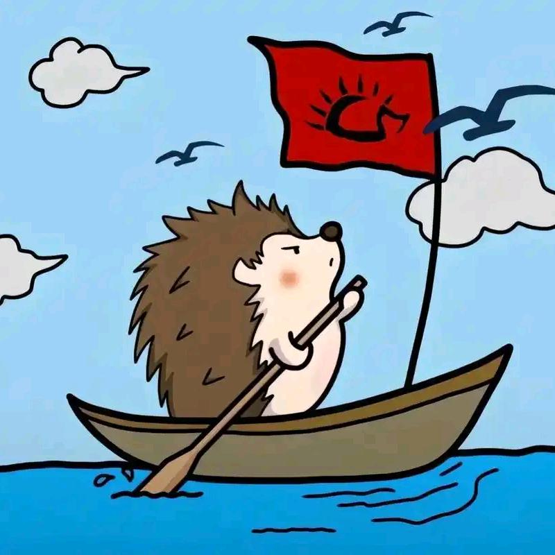 🦔王老师爱流浪