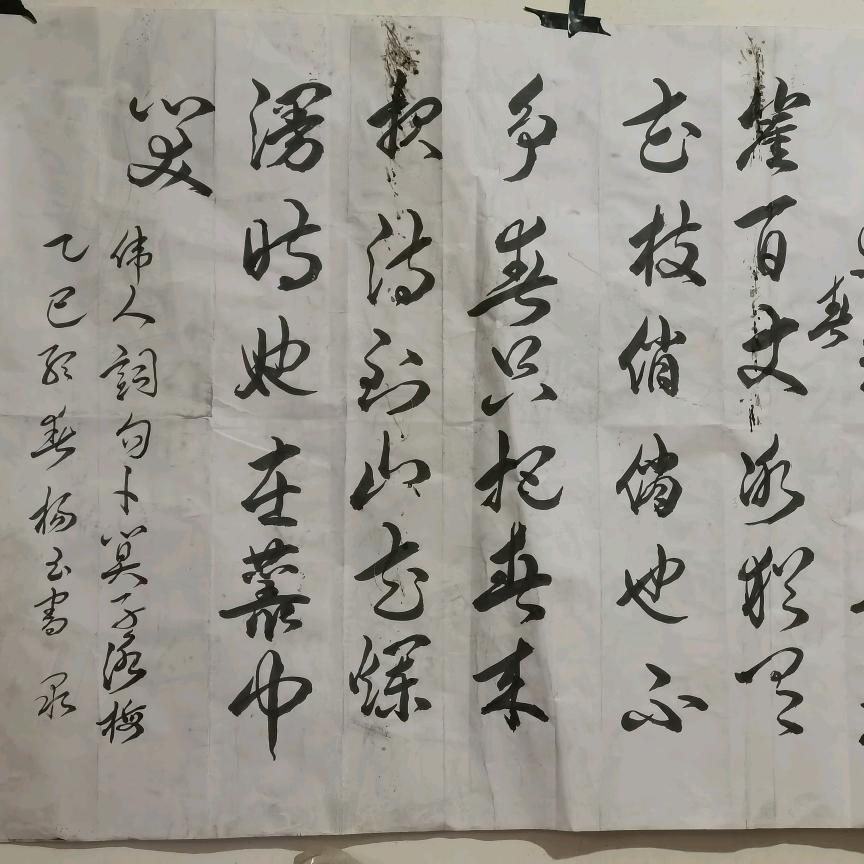 杨玉书