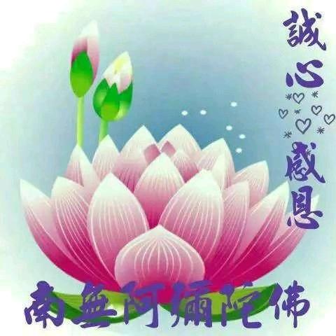 随缘.❤️晚上7点30