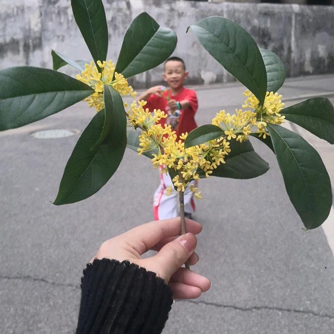 嘉嘉🎈