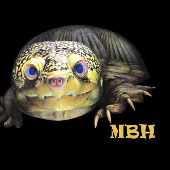魅蓝MBH