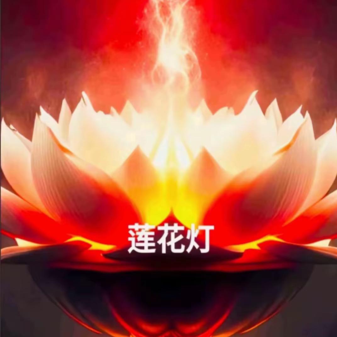 吃马铃薯长大的土豆🥔