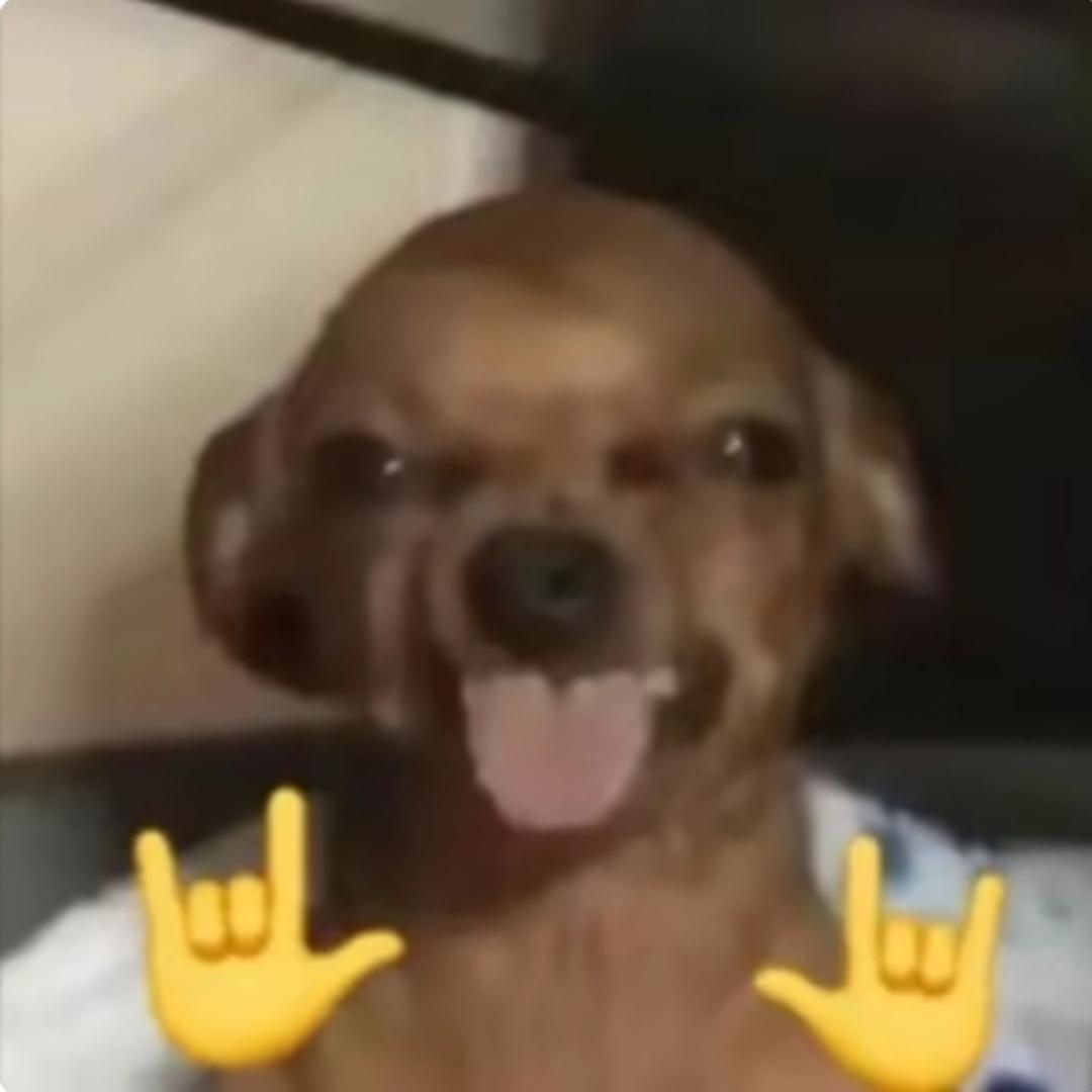 不爱吃肉