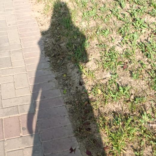熟悉的陌生人