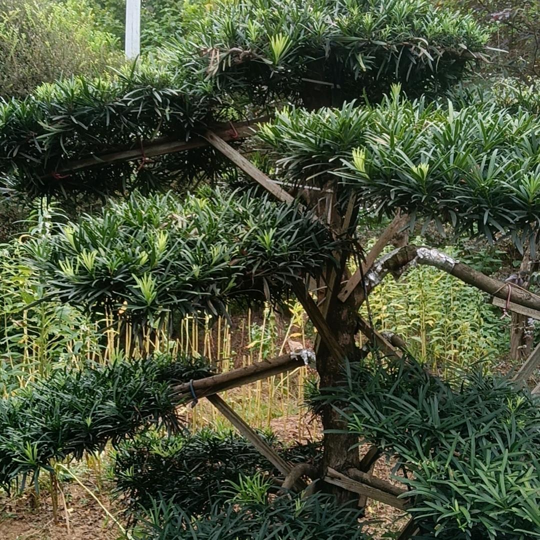 和谐人生