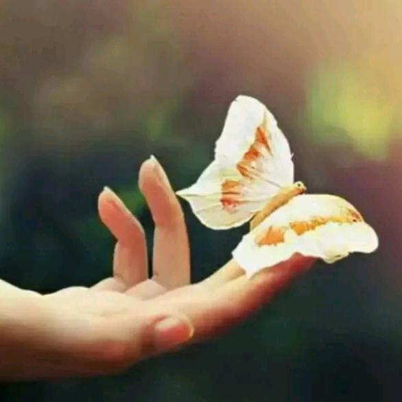 波波（拒绝合拍）