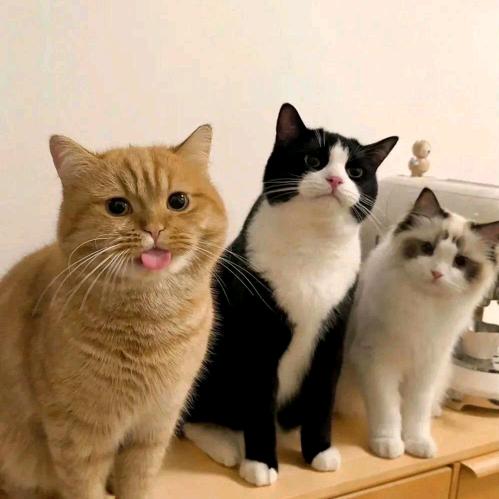 老刘（三角洲行动）