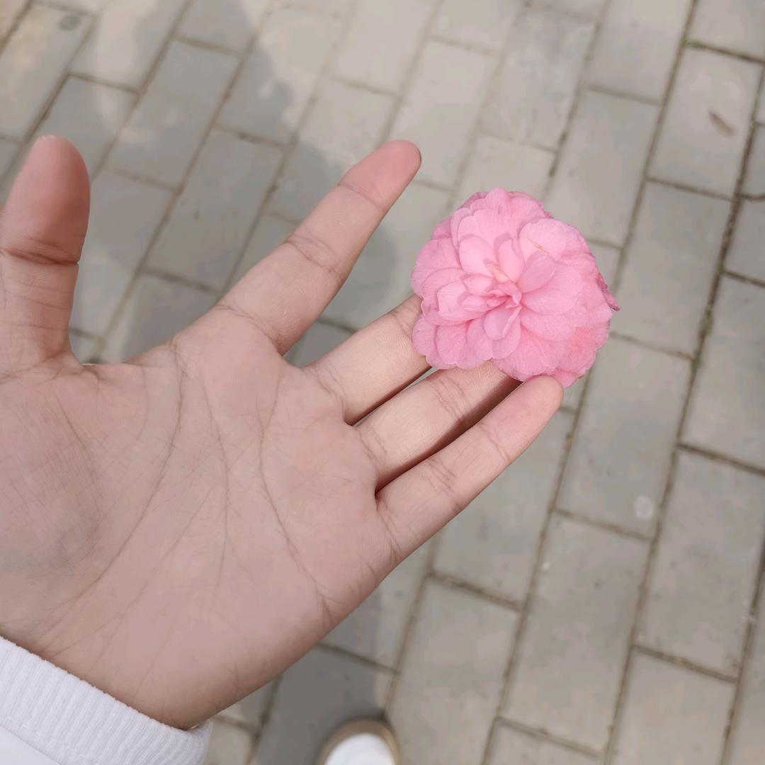 心心