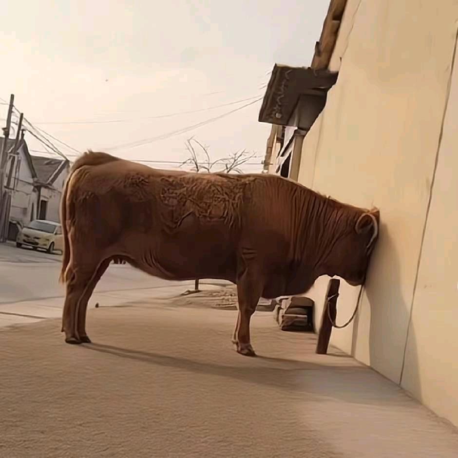 .........