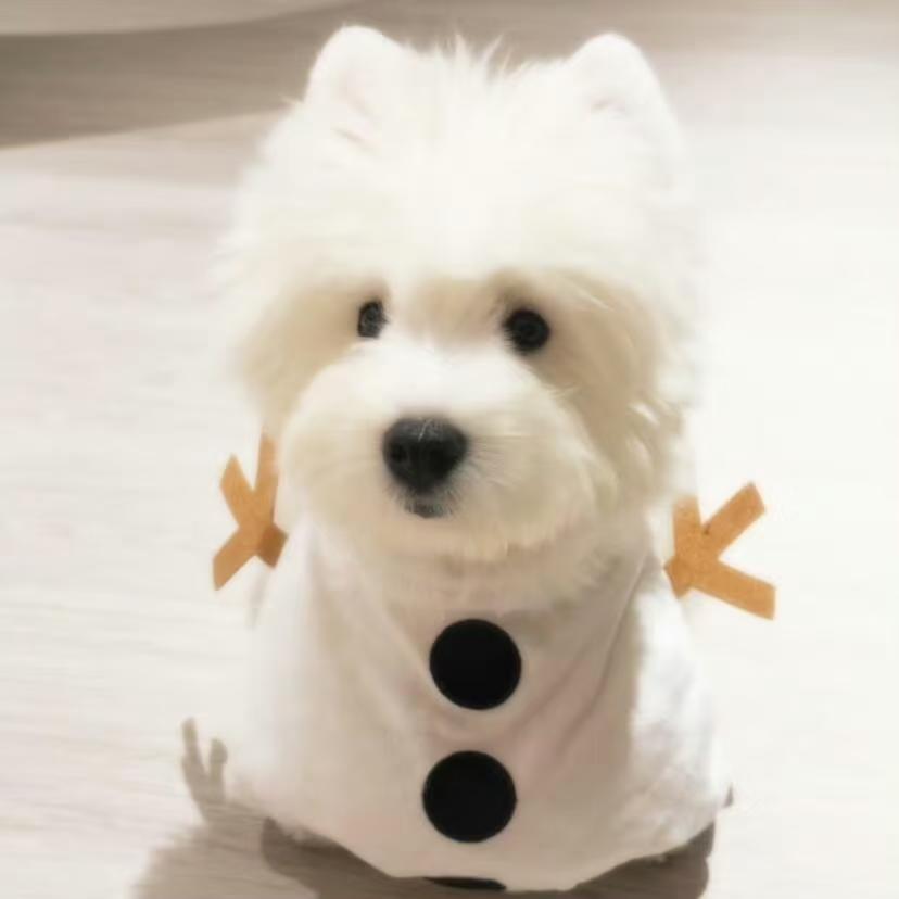 听歌.