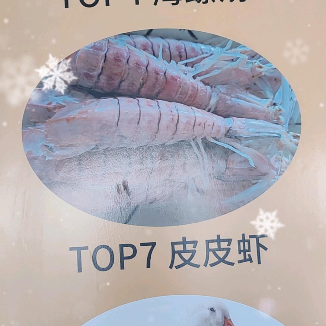 💋可爱的小猪猪🐷