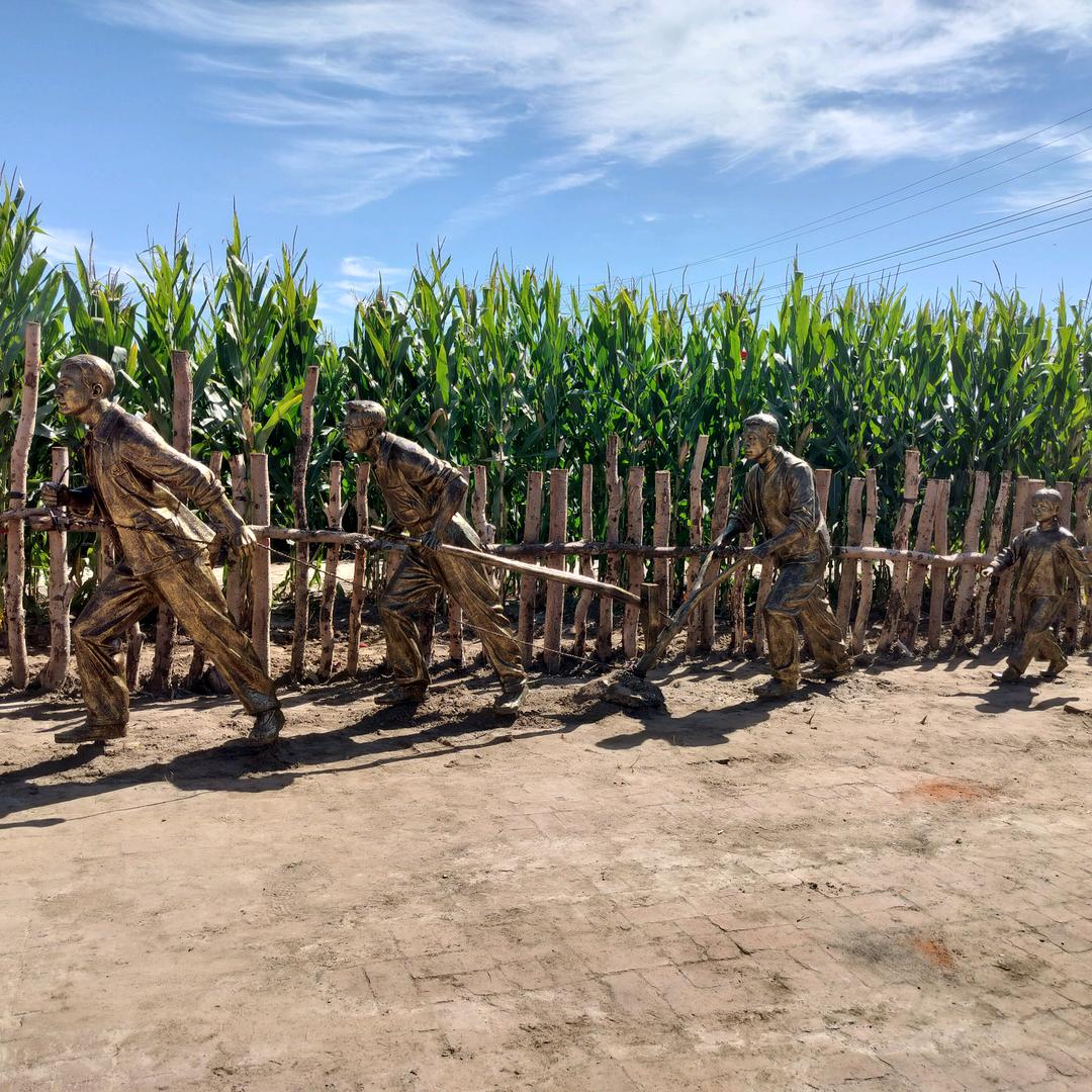 带着弟媳妇养溜达鸡