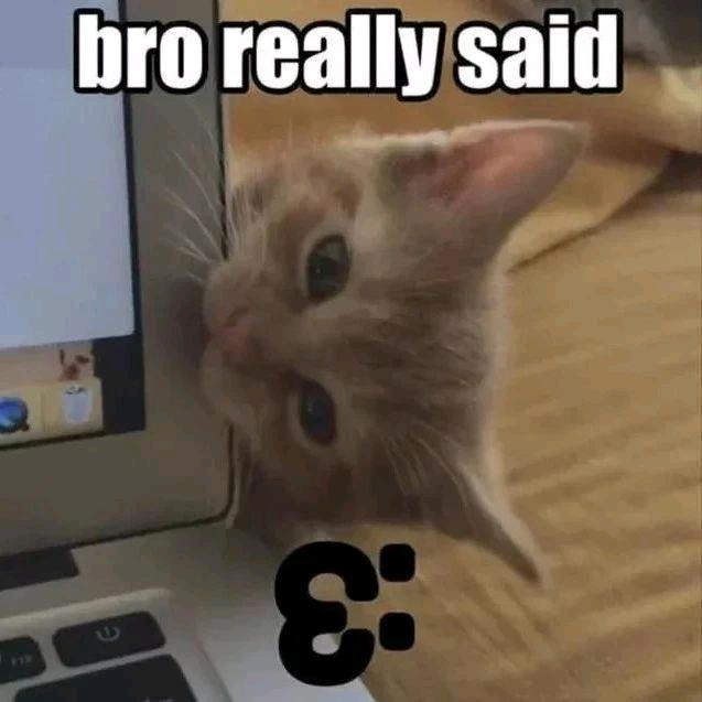 是猪柠真是披萨心肠