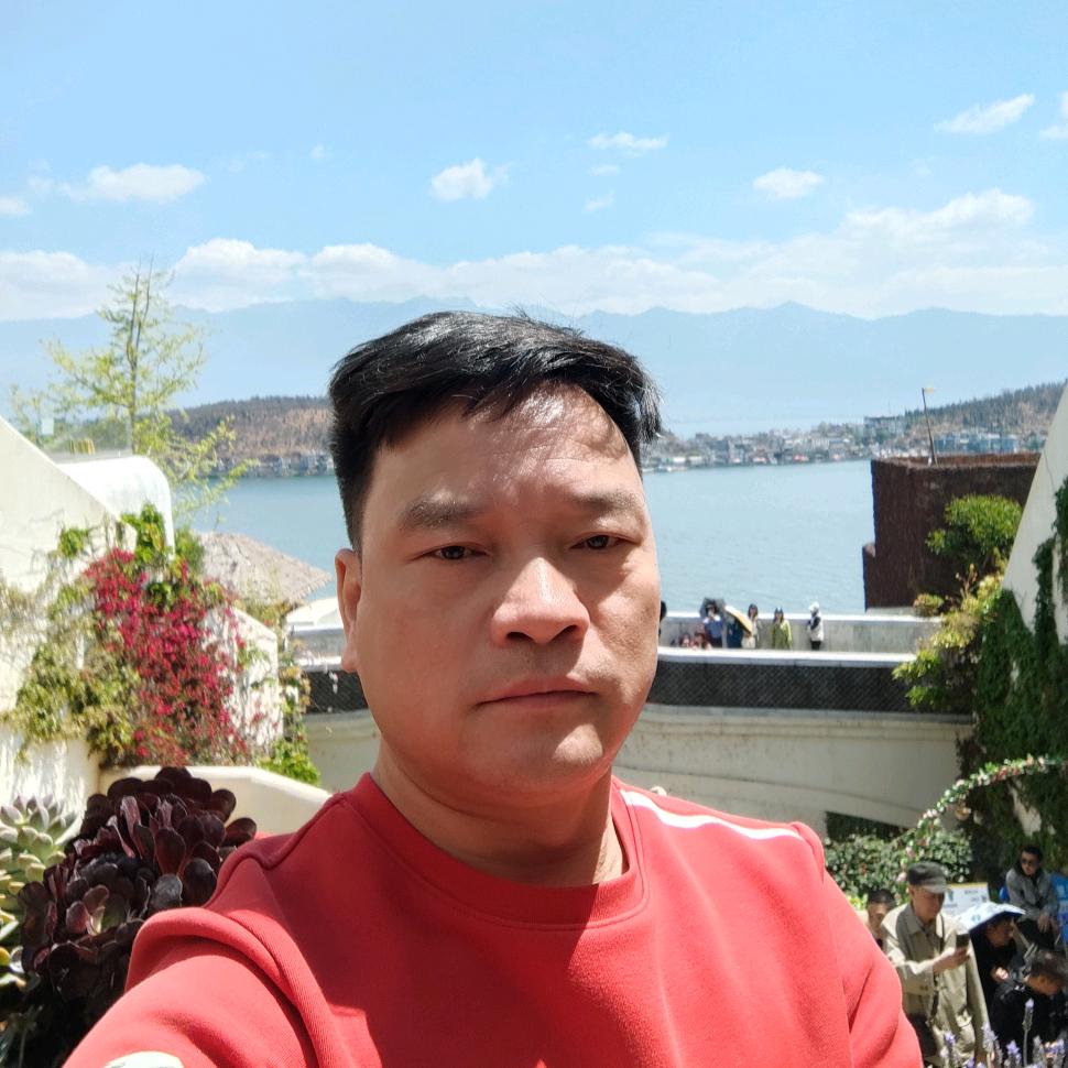 龙润茶陆羽茶行