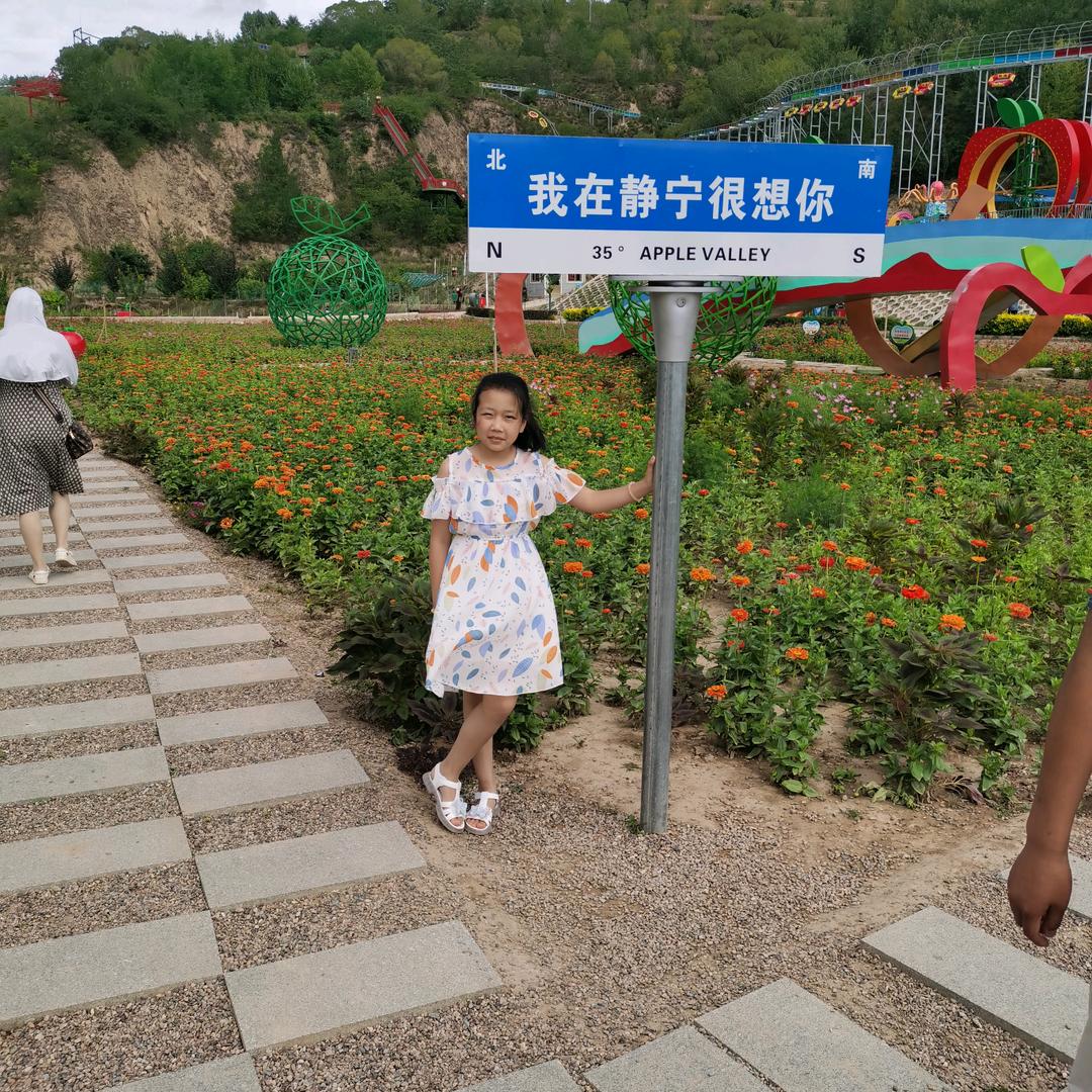 挚爱