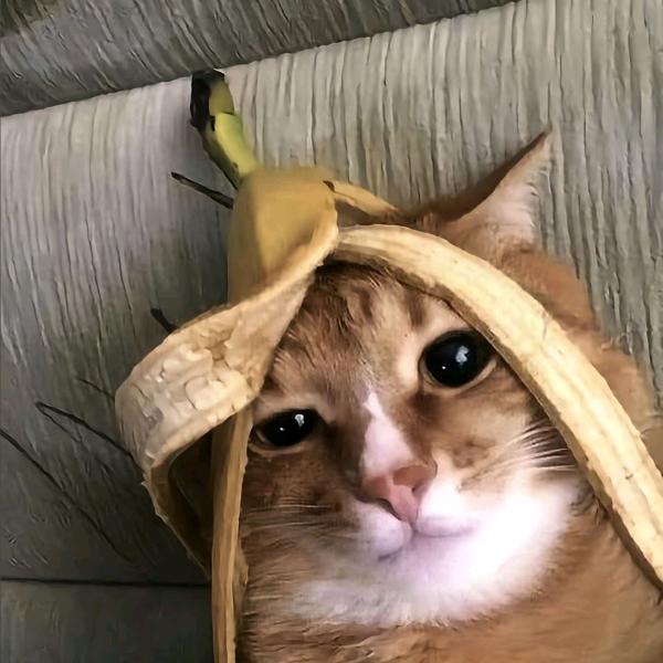 想睡觉