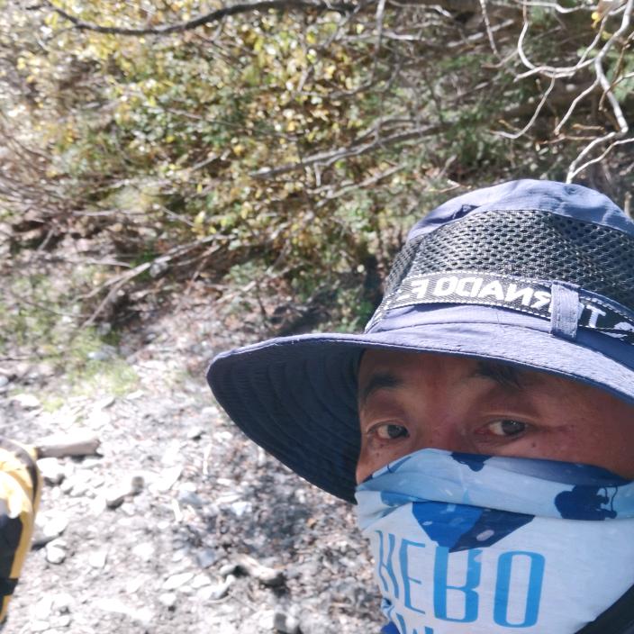 自然优先风