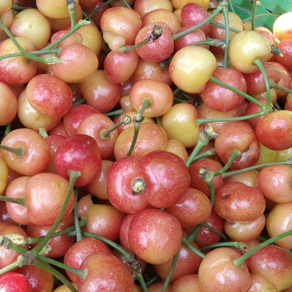 秋天日用百货推荐