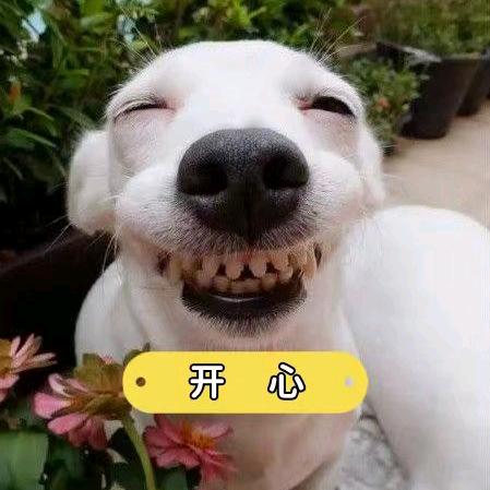 王浩爱吃😁谢谢啊😁