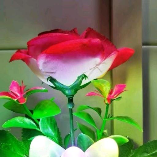 ꧁꫞꯭落花有意꯭꫞꧂