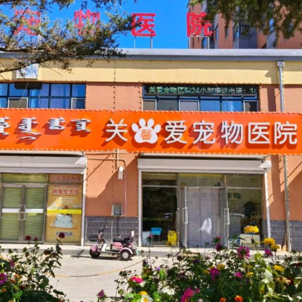 科右前旗关爱宠物医院