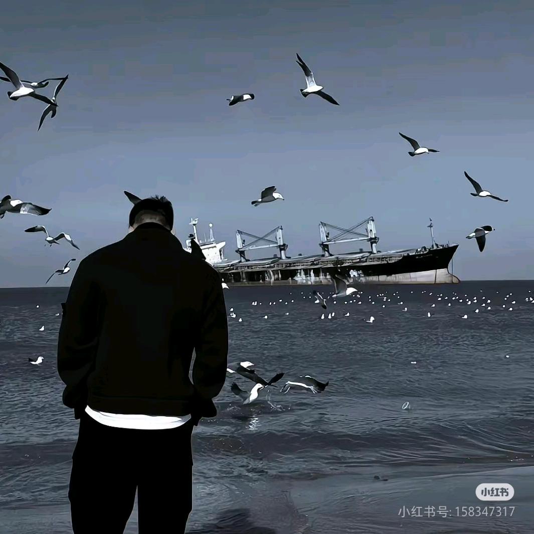 抖音纯情·书书