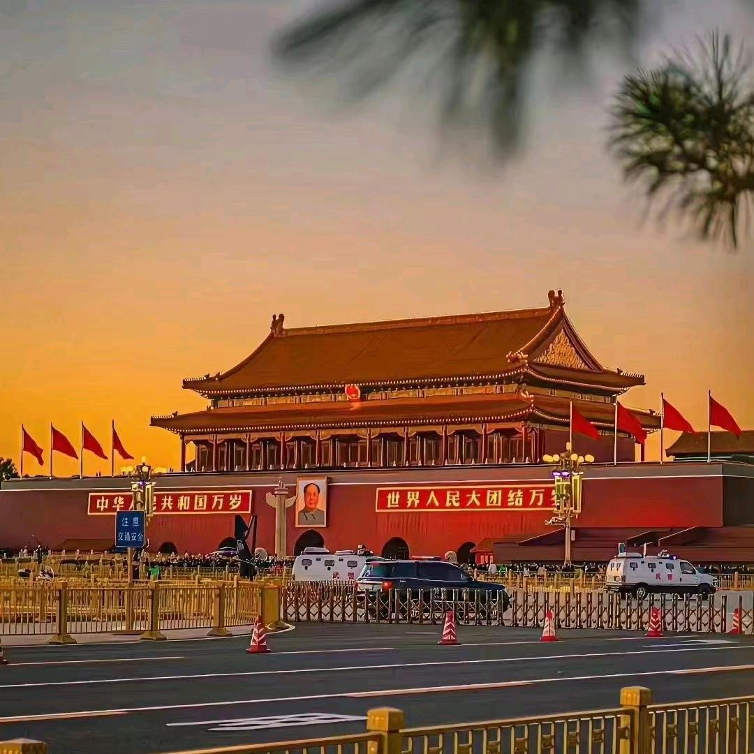 一个人的江湖