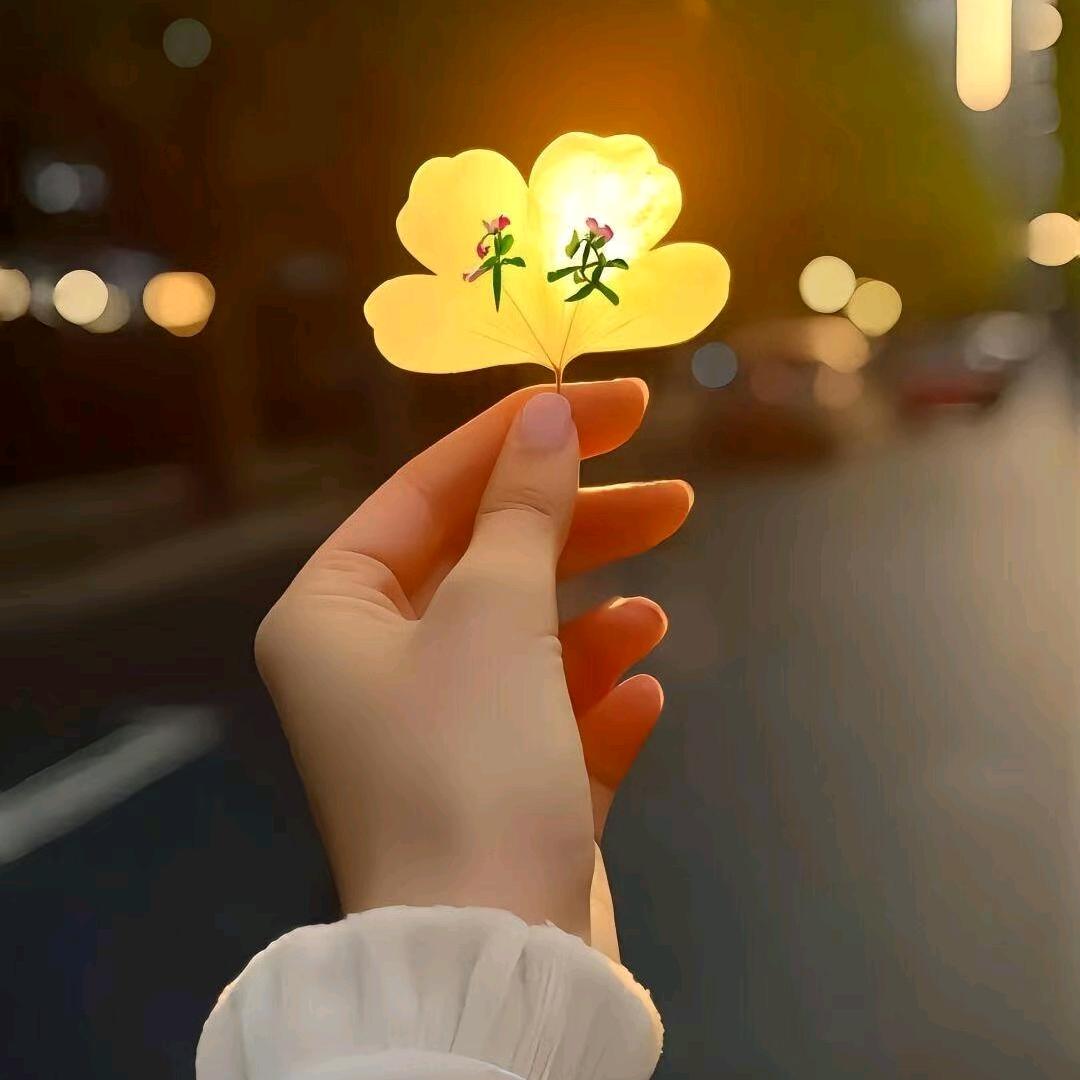 知喜🎈