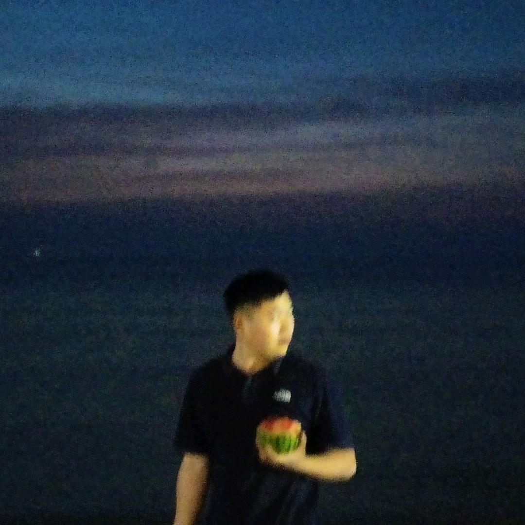 味c银翘片