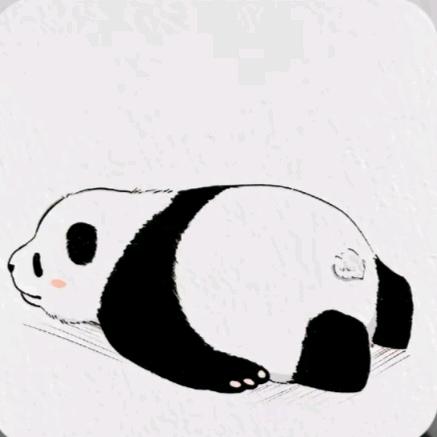 熬夜冠军小熊猫