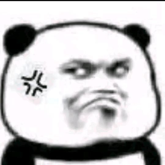 厉不厉害