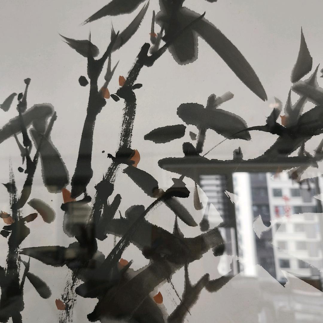 舒知