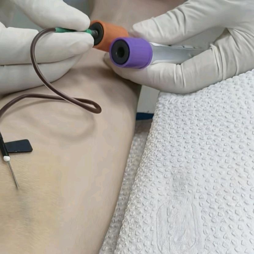 谢谢关心和支持愿所有人都健康心想事成