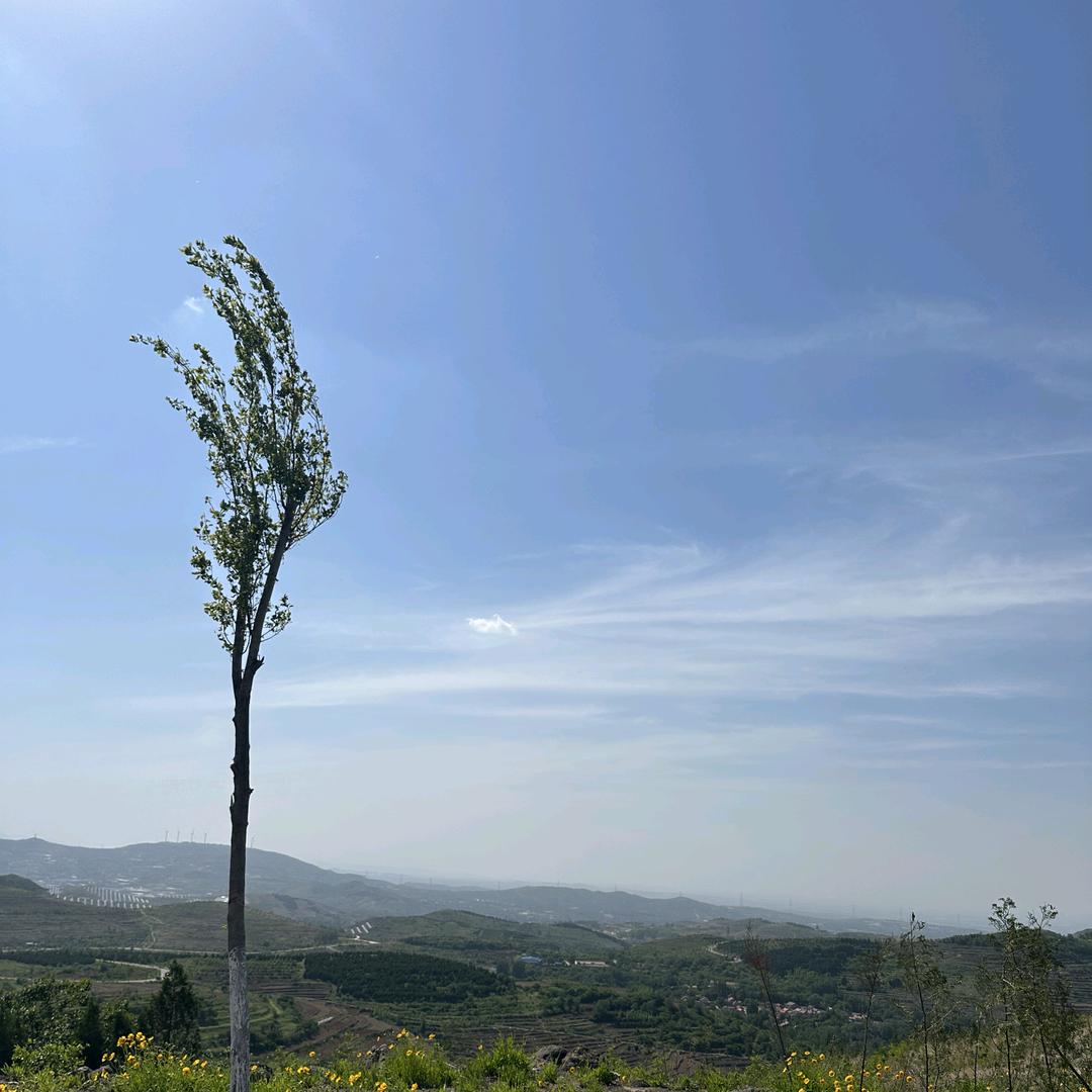 泰山四悦实体店