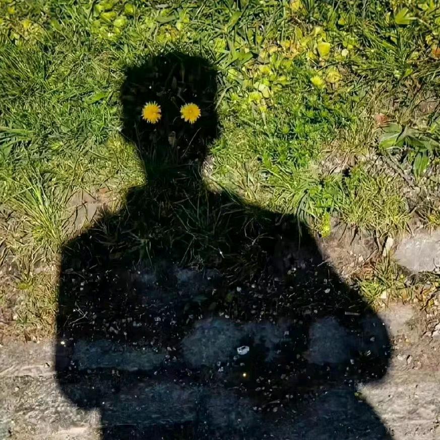 小天在洋芋国🥔