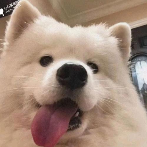 许愿一个爱我的宝贝的闺蜜的老公的情人