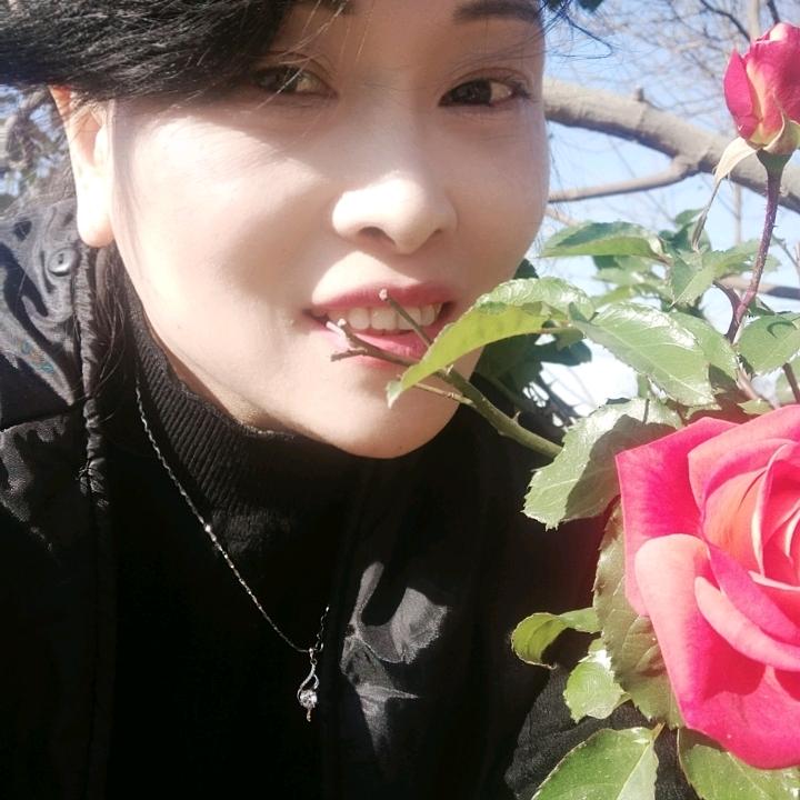 萍萍