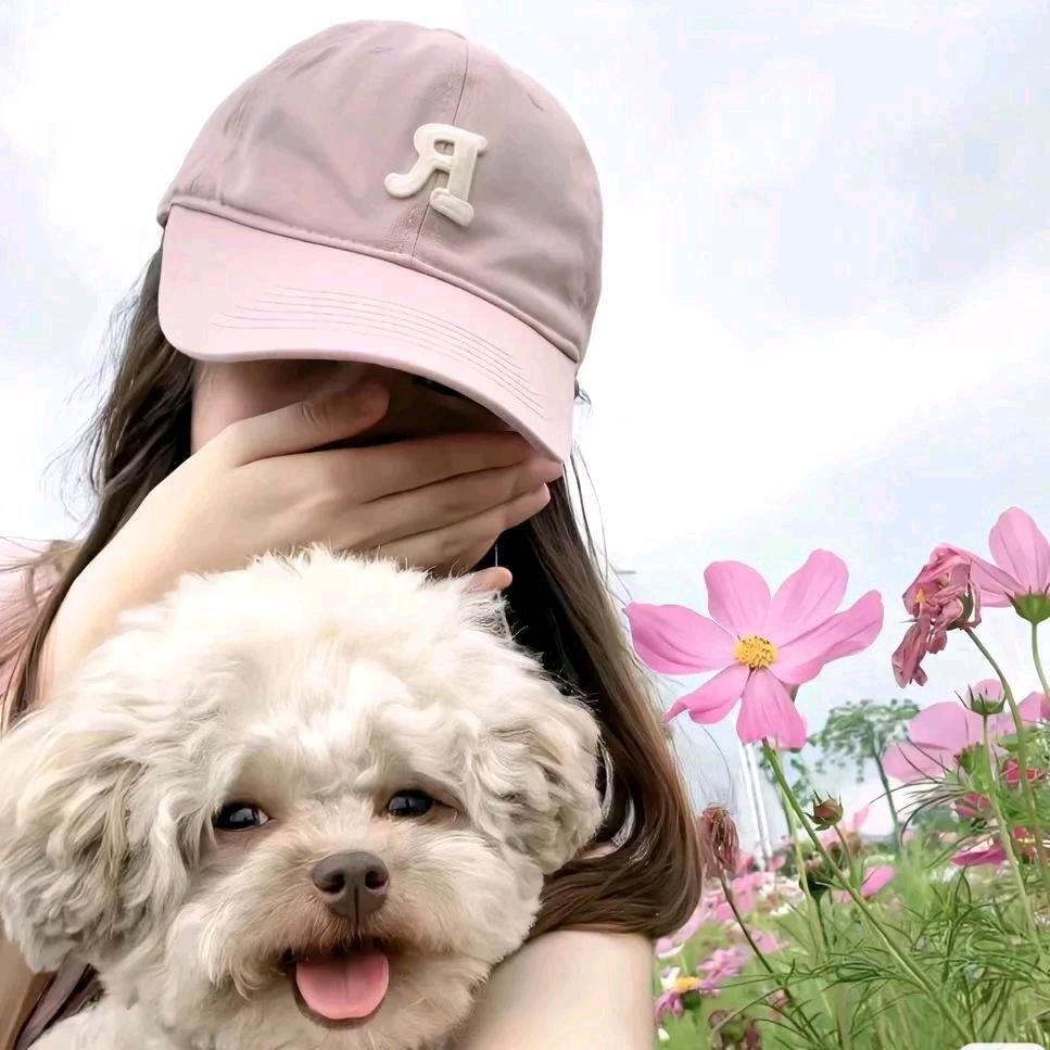 山茶花开在年糕里