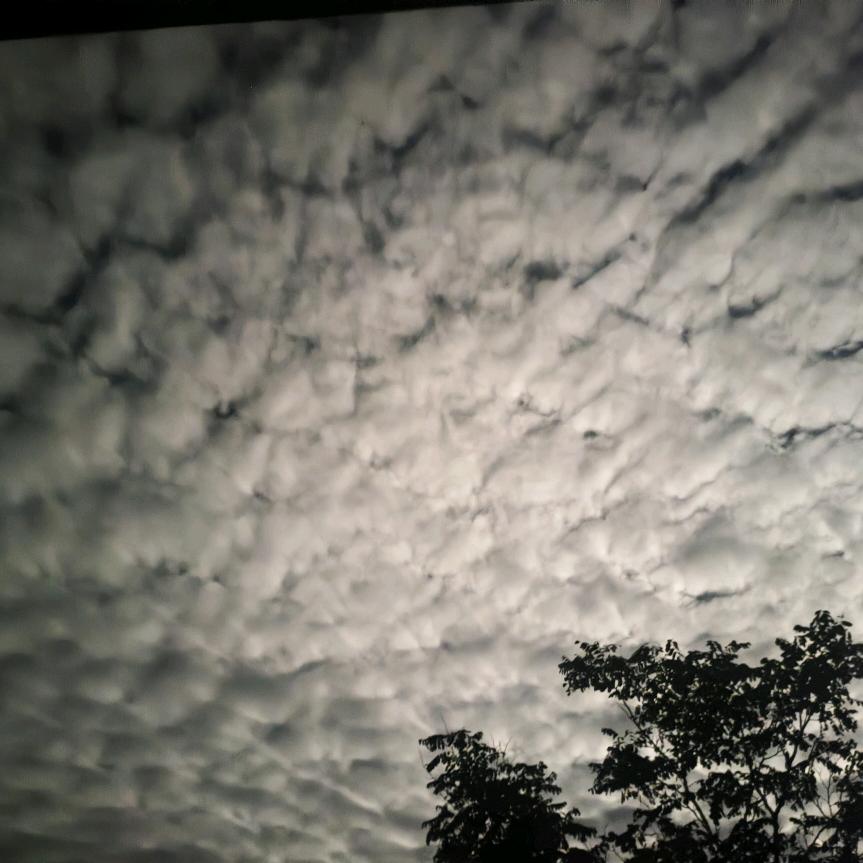 搬砖娃😉😉😉