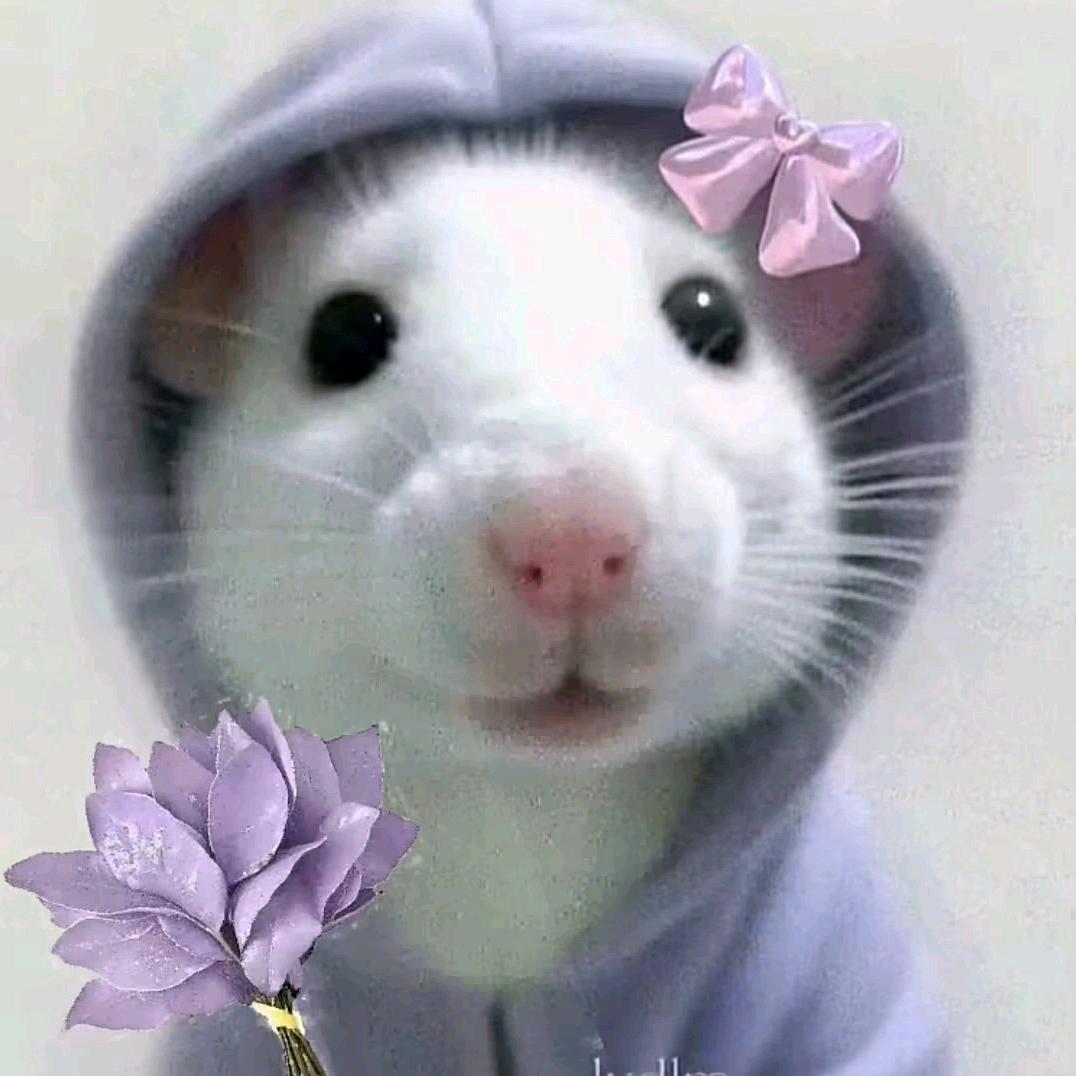 陈芊芊^