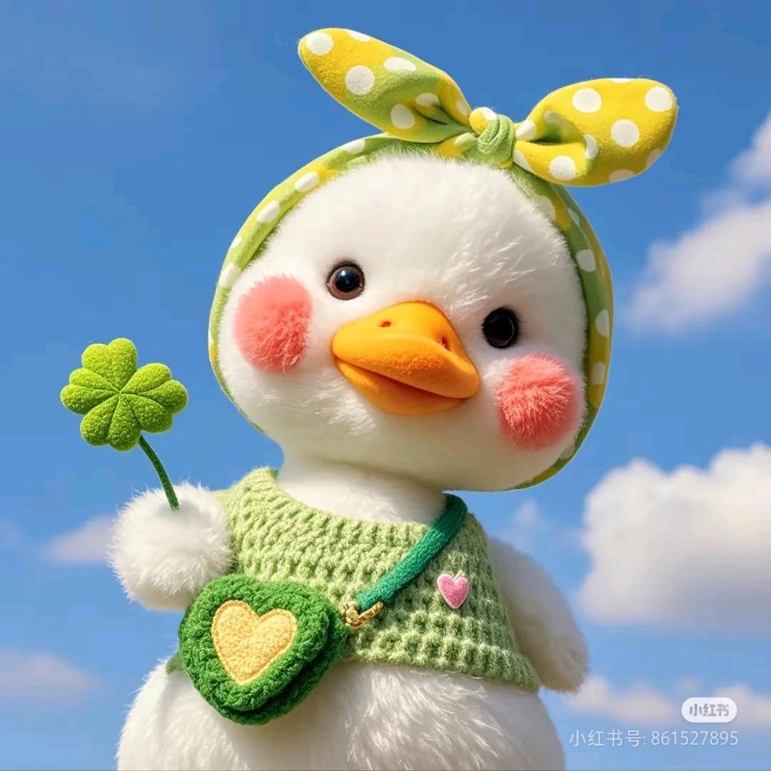 比熊窝窝，买🐶斯